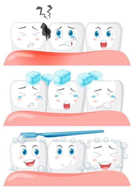 Как правильно чистить зубы – инструкция пошагово для максимальной эффективности